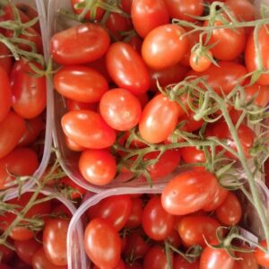 Pomodoro Datterino: Dolcezza Superiore, Perfetto Crudo e Cotto – 0.5 KG