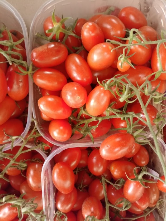 Pomodoro Datterino: Dolcezza Superiore, Perfetto Crudo e Cotto – 0.5 KG