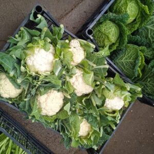 Cavolfiore: Corimbo Compatto, Ideale per Zuppe e Gratin – 1 KG