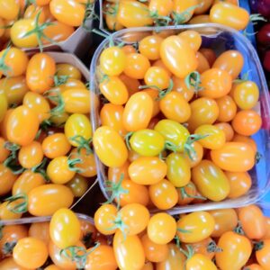 Datterino Giallo: Dolcezza Superiore, Bassa Acidità – 0.5 KG