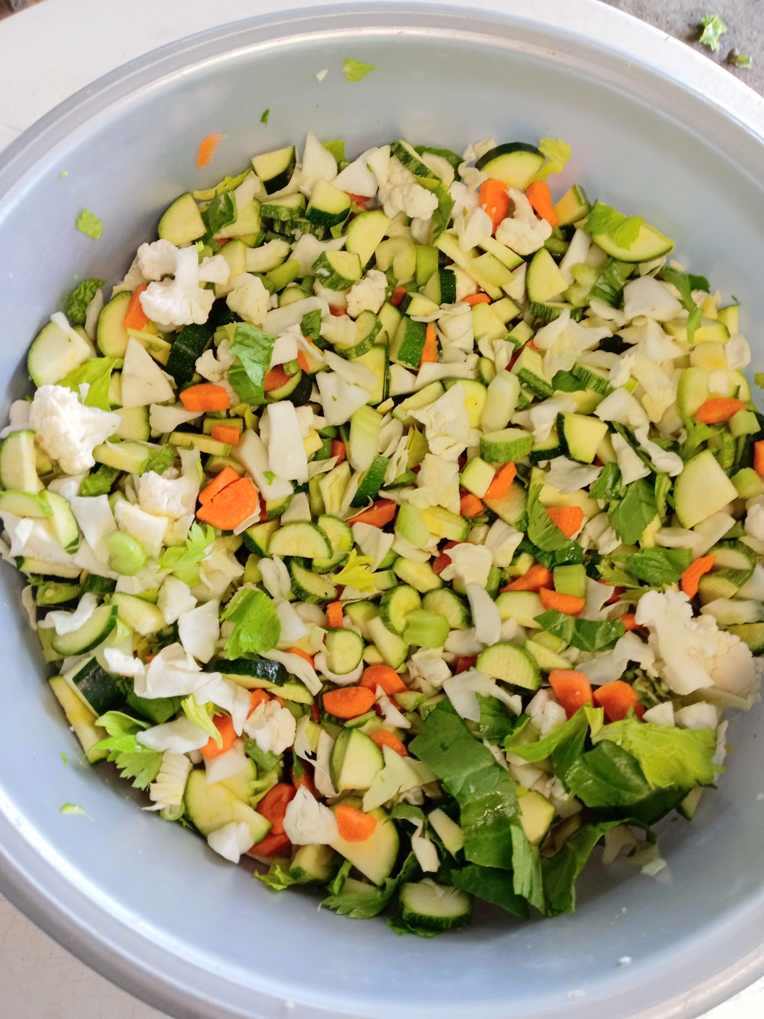 Minestrone Fresco: Verdure di Stagione, Pronto da Cuocere – 0.6 KG