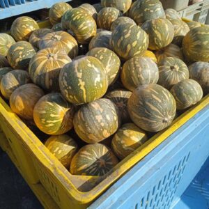 Zucca Asterix Fresca da 2 a 3 kg. Ideale per Risotti e Vellutate
