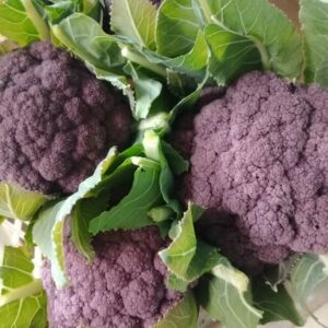 Mix di Broccoli Colorati (1 KG) - Viola, Romanesco, Siciliano e Bianco