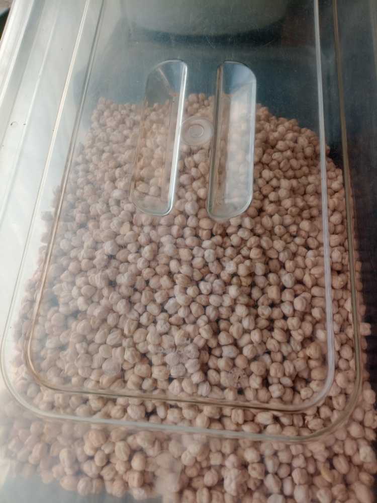 Ceci Piccoli (500g) - Sapore Rustico e Cremoso