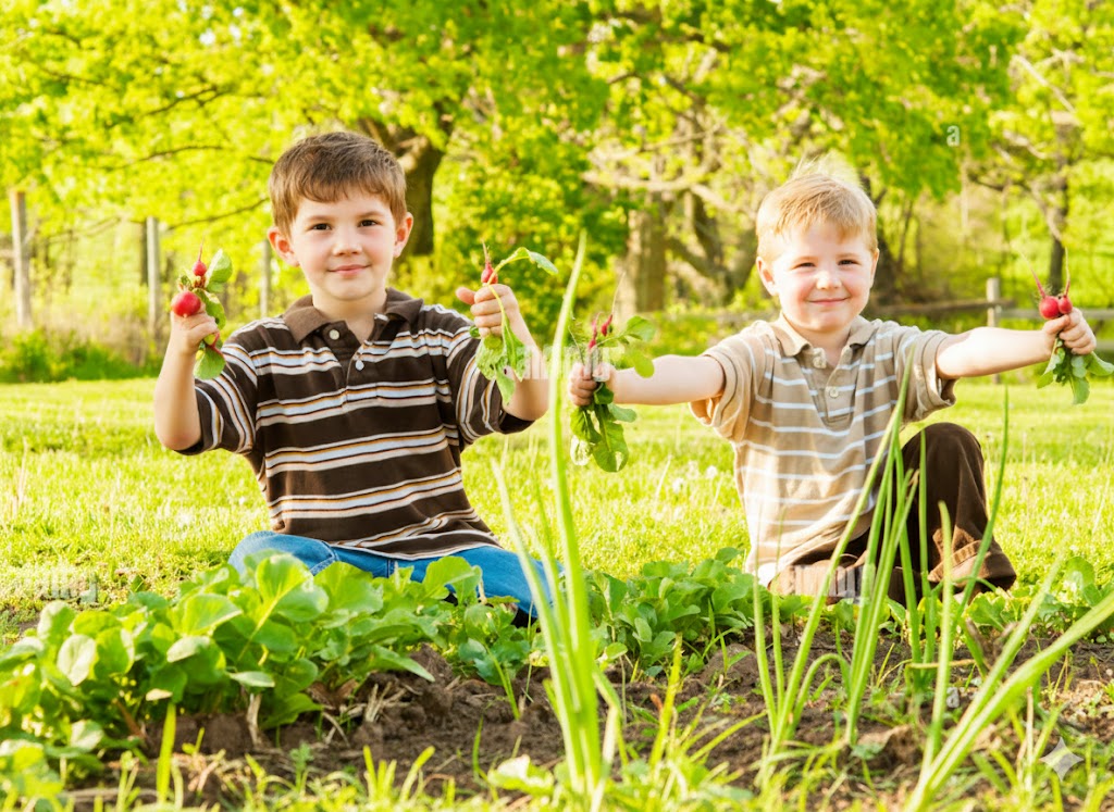 Salute e sovranità alimentare per le famiglie di Nettuno e Anzio