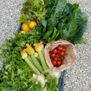 Nettuno: Cassetta Verdura Mista A.O.C. con Zucchine e Pachino a 20€