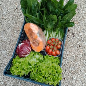 Nettuno: Cassetta verdure miste Standard Inverno A.O.C. Arvion