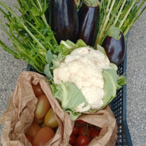 Cassetta Febbraio Arvion: Cavolfiore, Puntarelle e Melanzane – 15€ con Consegna Gratis